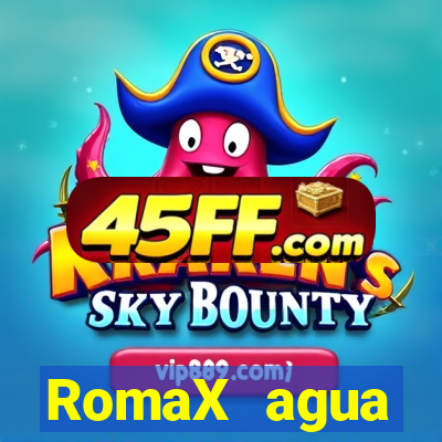 RomaX agua sanitaria fispq agua sanitaria romax